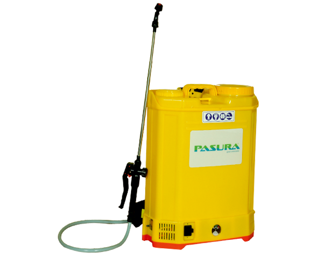Pasura